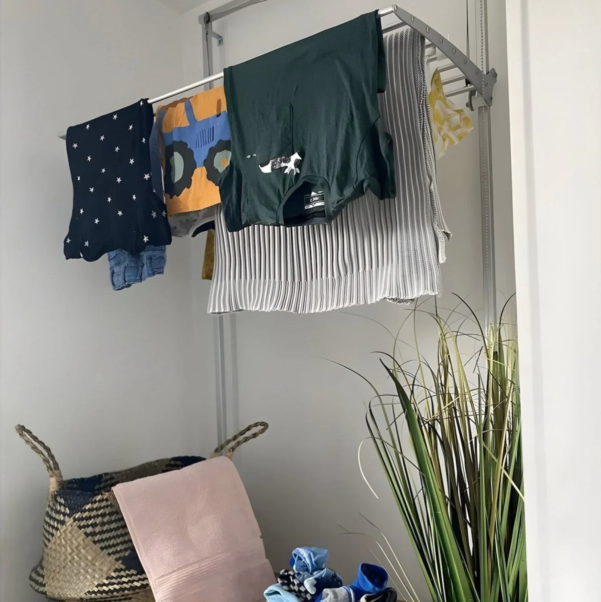 FoxyDry Wall - Image 11